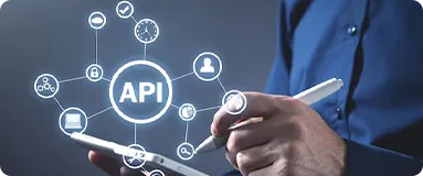 API-Consulting